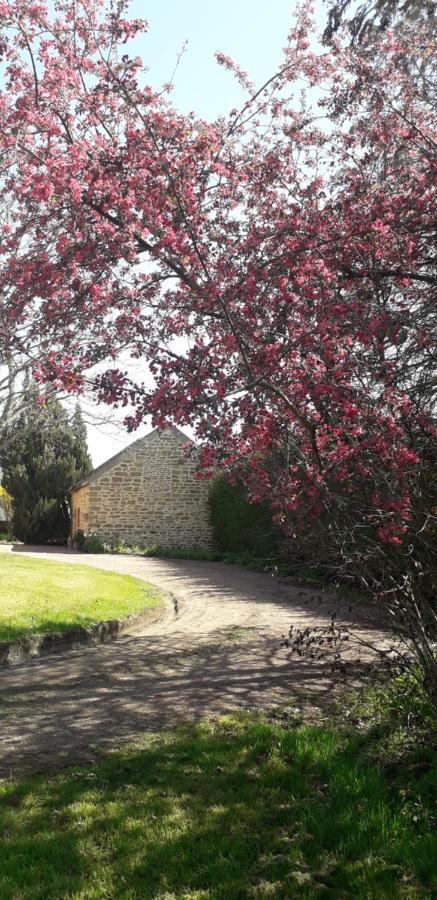 Chambres D'Hotes La Maison D'Apres ชาร็อลส์ ภายนอก รูปภาพ
